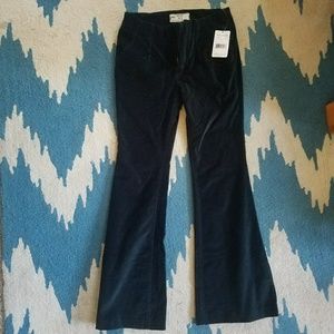 Velvet flare free people pants