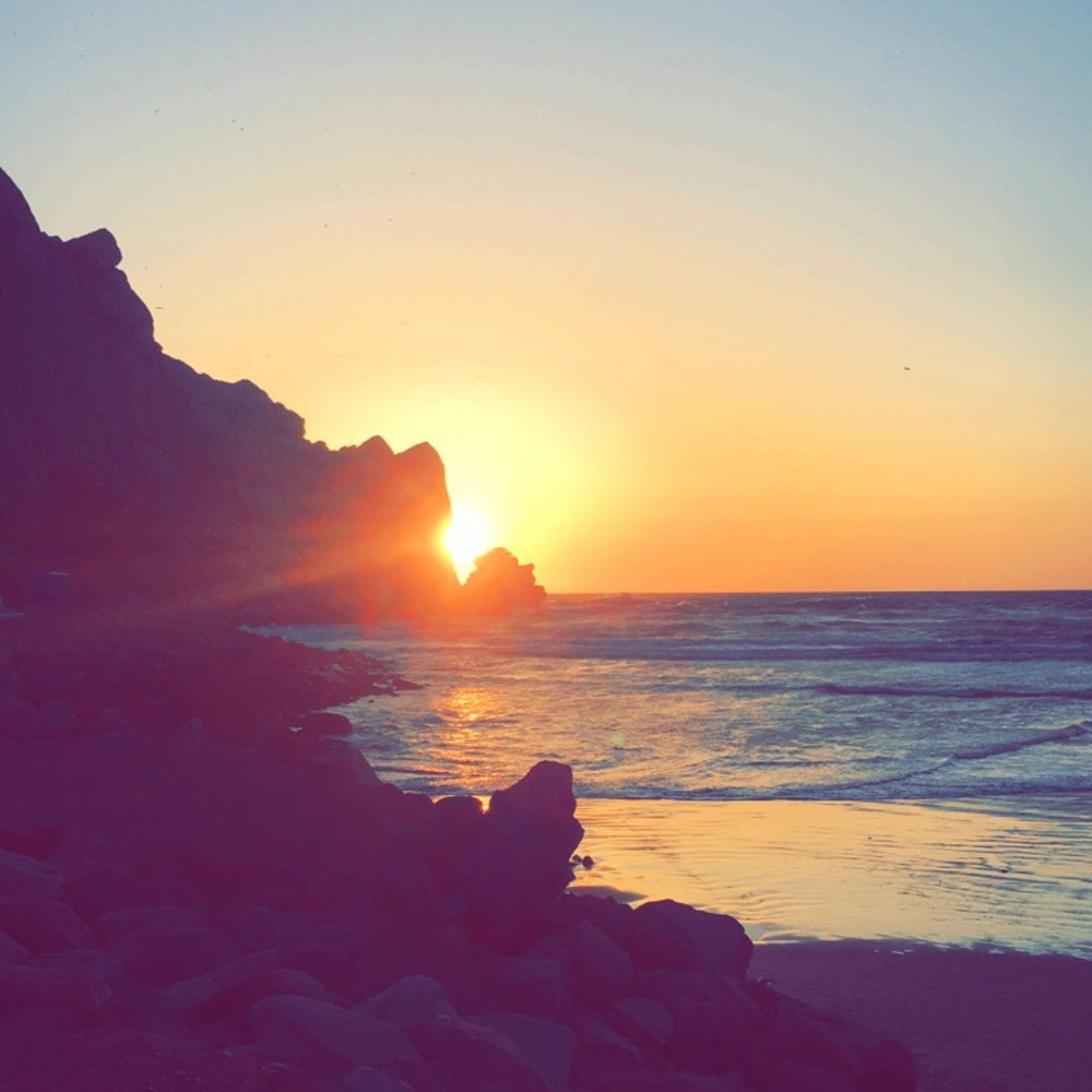 Meet your Posher, Sophia