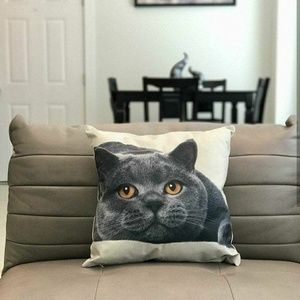 Throw pillow case