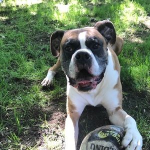 Meet your Posher, Hallie