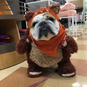 Meet your Posher, Jon