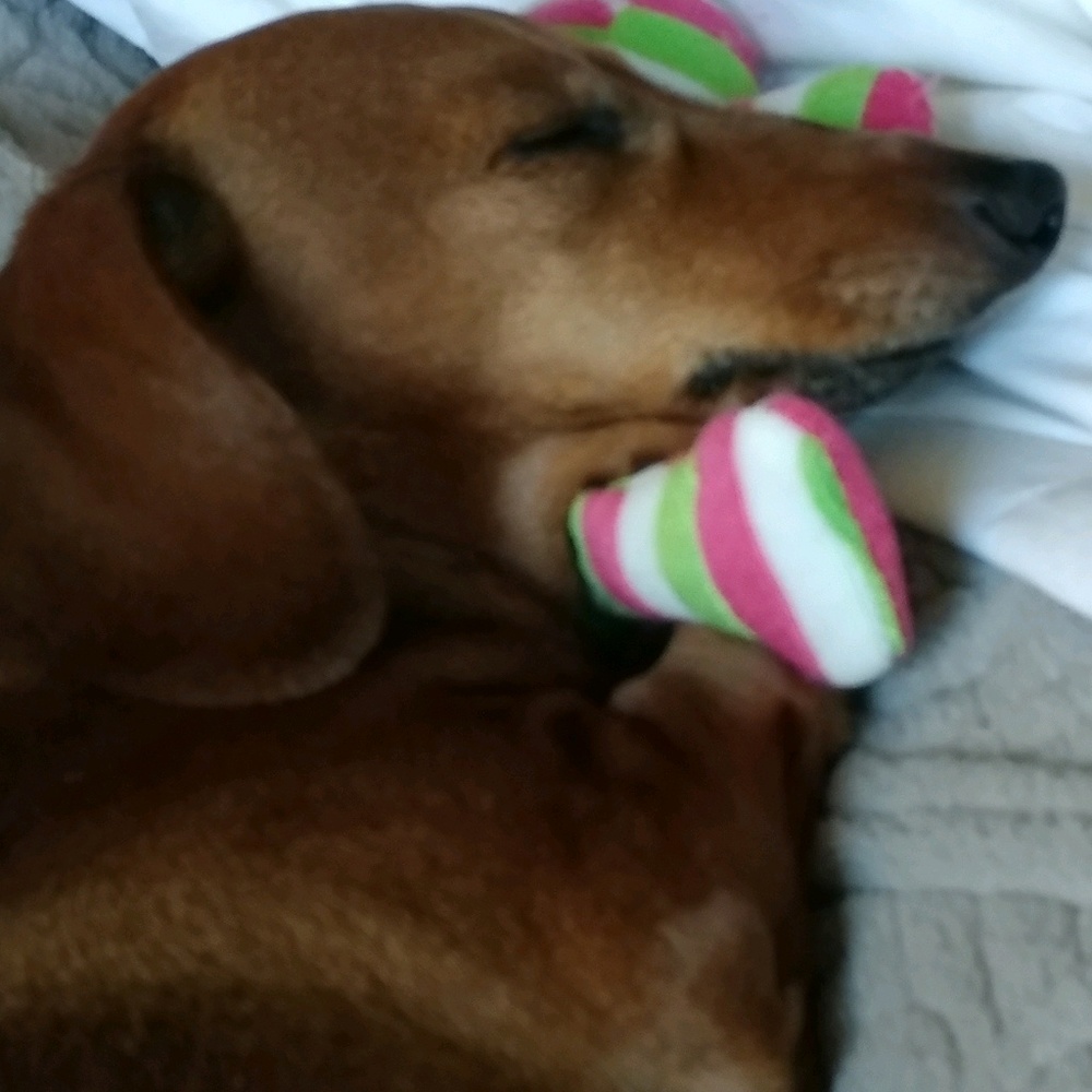 Meet your Posher, Jennifer