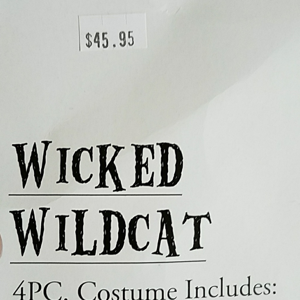 Girls costume - Picture 3 of 4