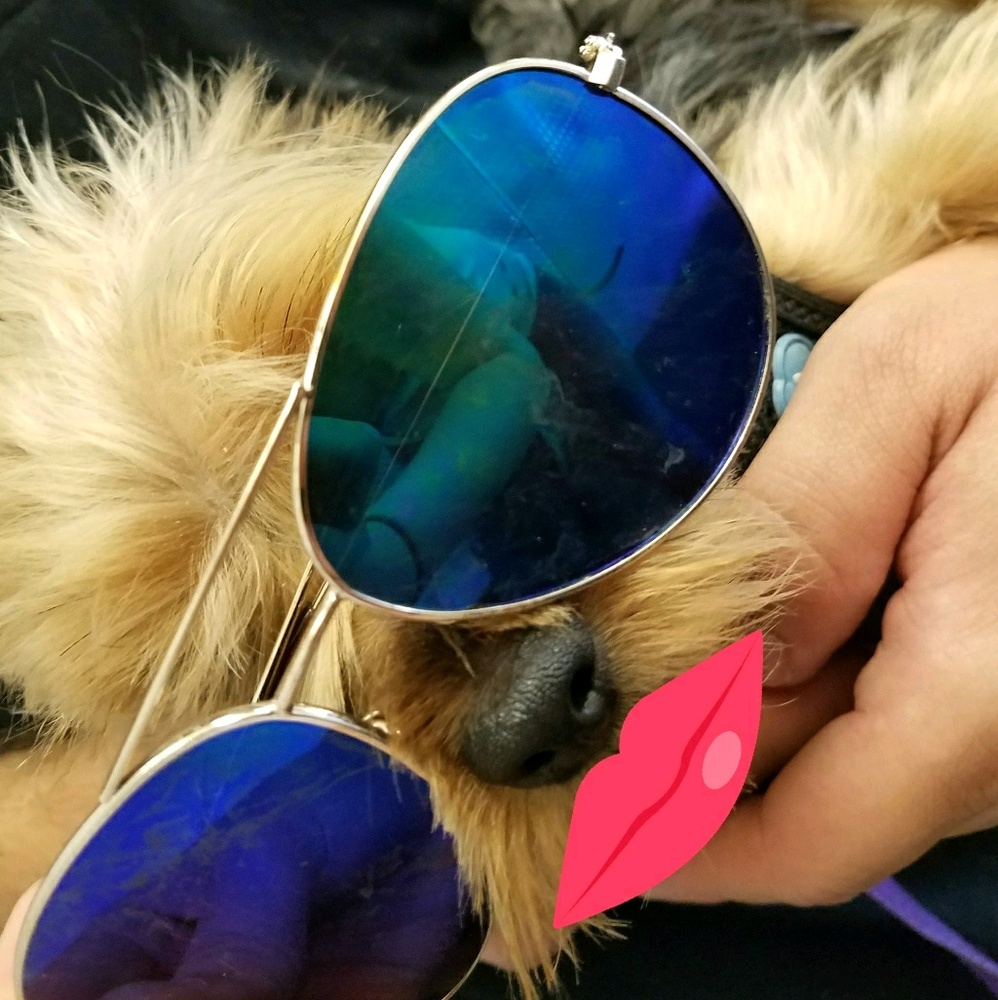 Meet your Posher, Alayna