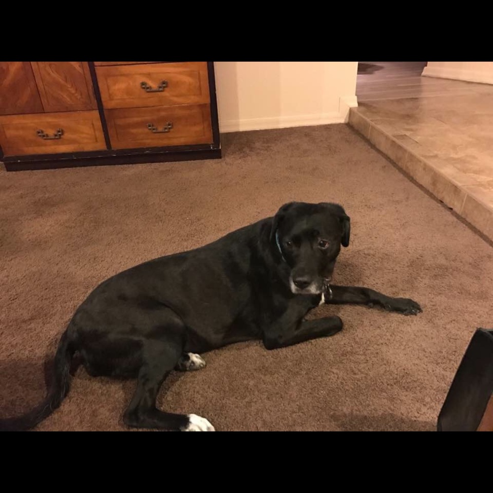 Meet your Posher, Zina