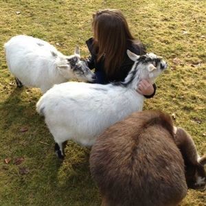 Meet your Posher, Susan