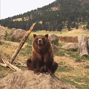 Meet your Posher, Andrea