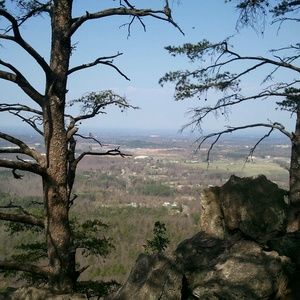 Meet your Posher, Betty