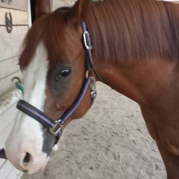 Meet your Posher, Cathy - Picture 1 of 1