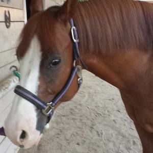 Meet your Posher, Cathy