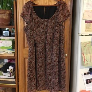 Simply Be Floral Dress