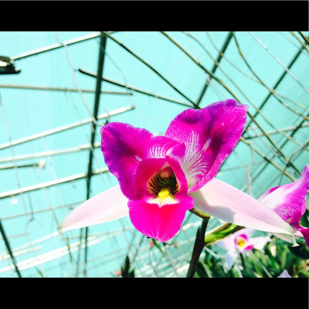 Meet your Posher, Kandi