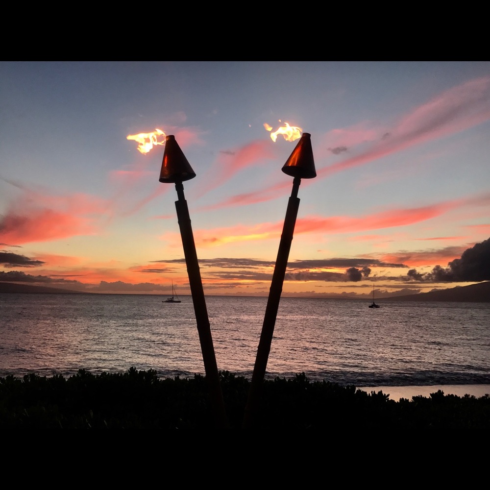 Meet your Posher, Laurie