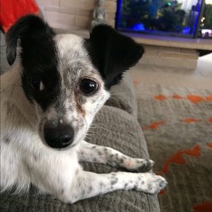 Meet your Posher, Denise