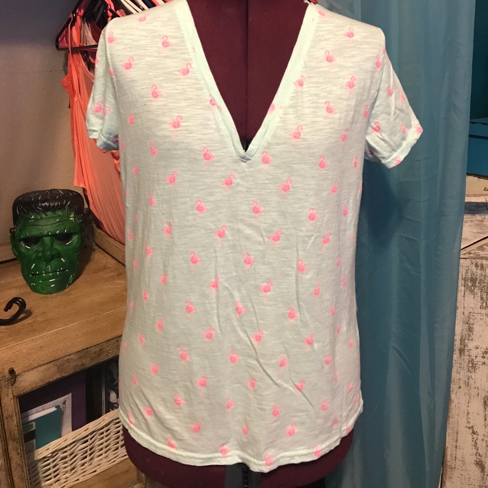 Green and pink flamingo