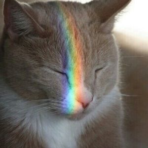 Meet your Posher, Colby