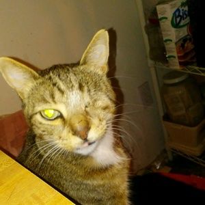 Meet your Posher, Jack