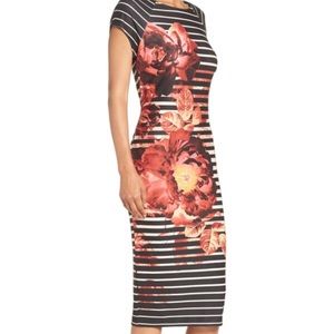 ECI Print Scuba Sheath Dress