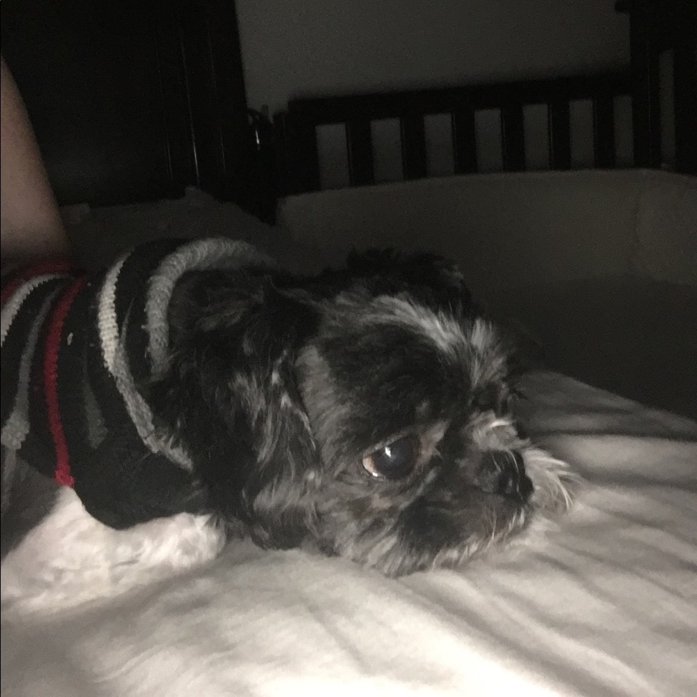 Meet your Posher, Audra