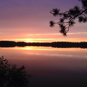 Meet your Posher, Dianna