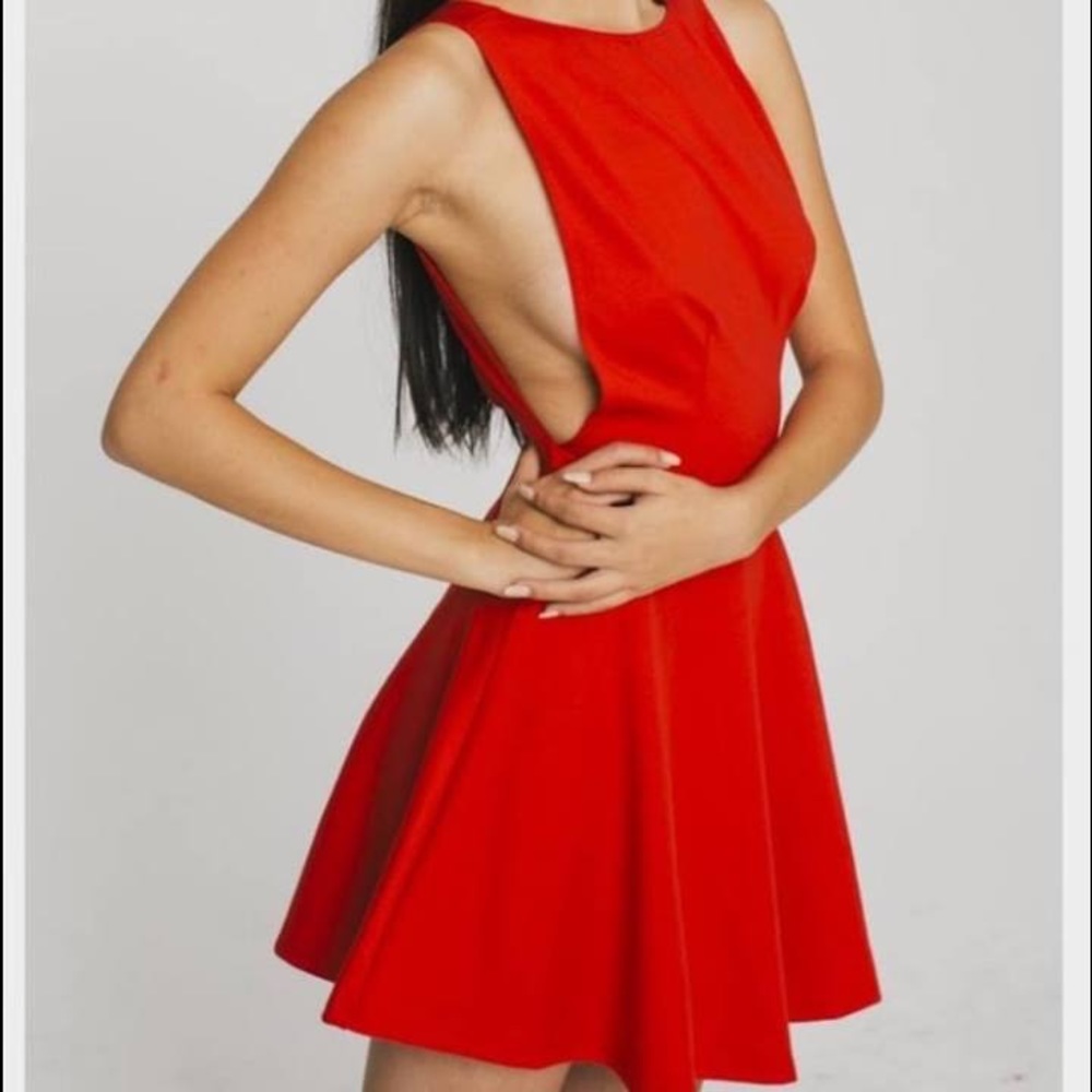 American Apparel Dress NWOT