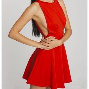 American Apparel Dress NWOT