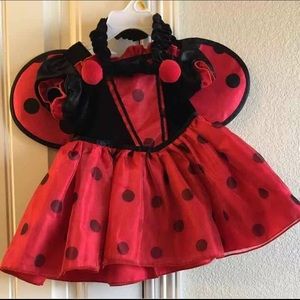 Lady bug Halloween costume