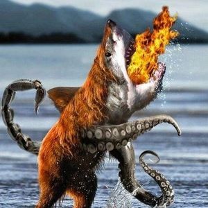 Meet your Posher, Nick