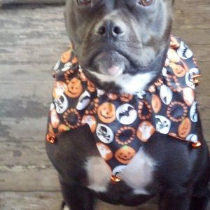 Meet your Posher, Hazel miller