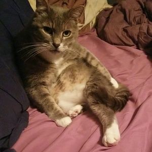 Meet your Posher, Almera