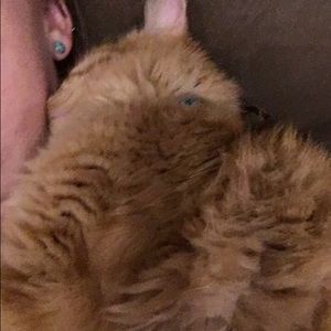 Meet your Posher, Michela