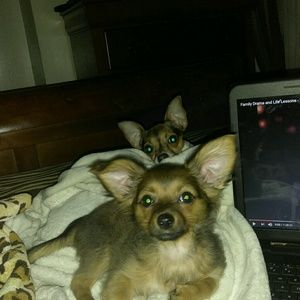 Meet your Posher, Paula