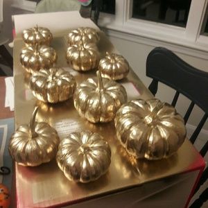 Meet your Posher, Joanna