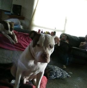 Meet your Posher, Deborah