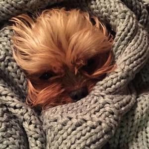 Meet your Posher, Tara