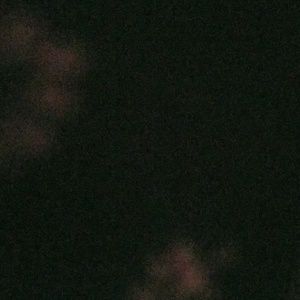 Meet your Posher, Leanne