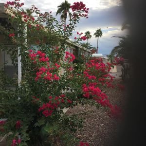 Meet your Posher, Janet