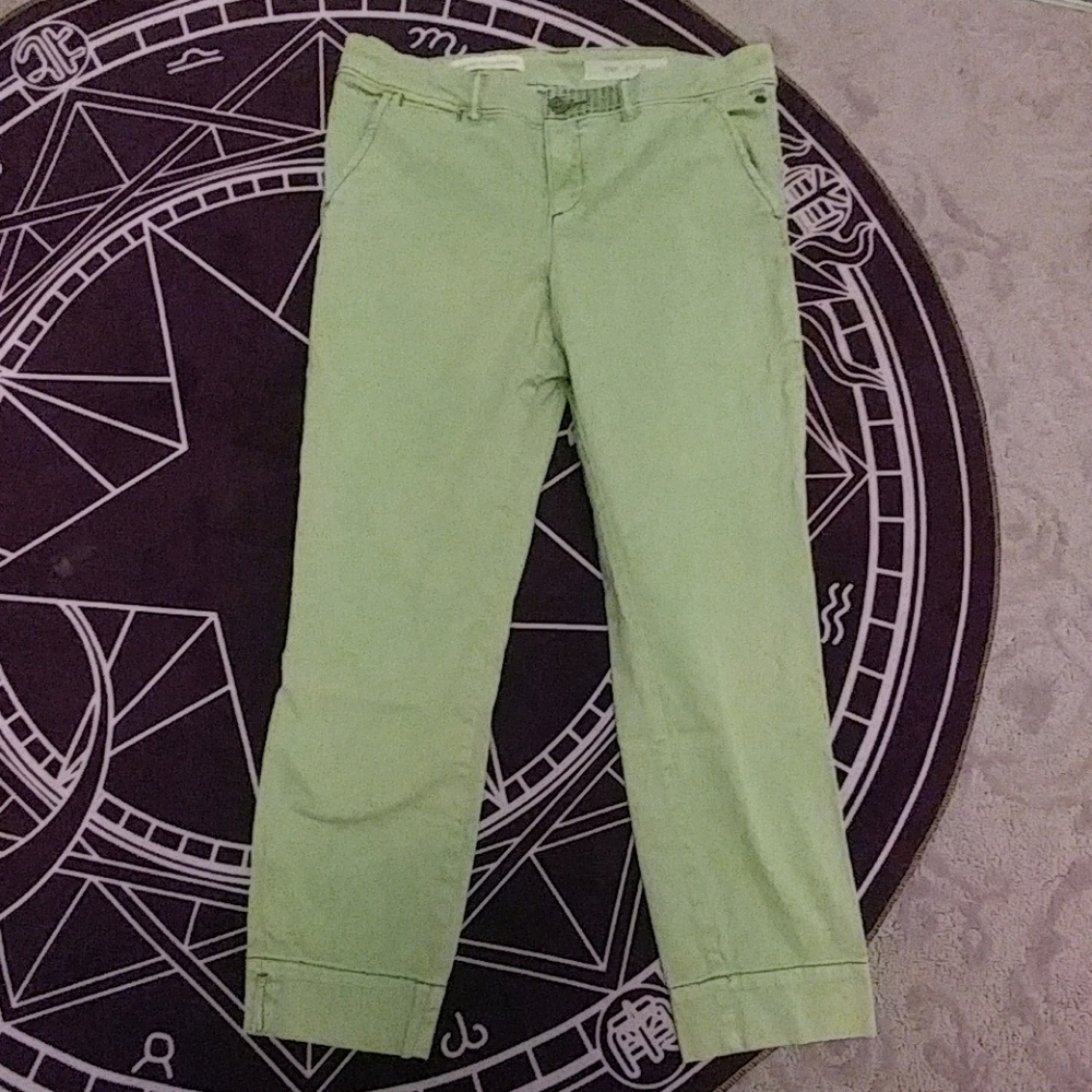 Anthropologie Pilcro Size 29 Stet Crop Pants