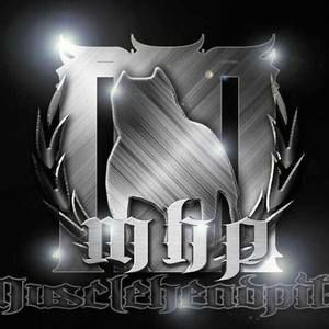 Meet your Posher, Sammy