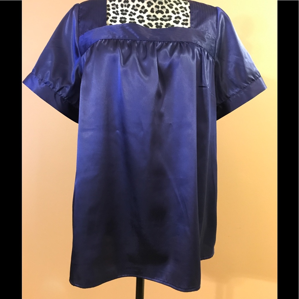 Beautiful Purple Silky Top 14/16