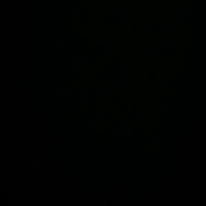 Meet your Posher, Cheyeanne