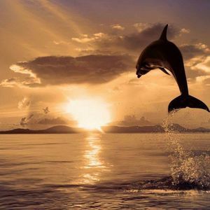 Meet your Posher, Mandy