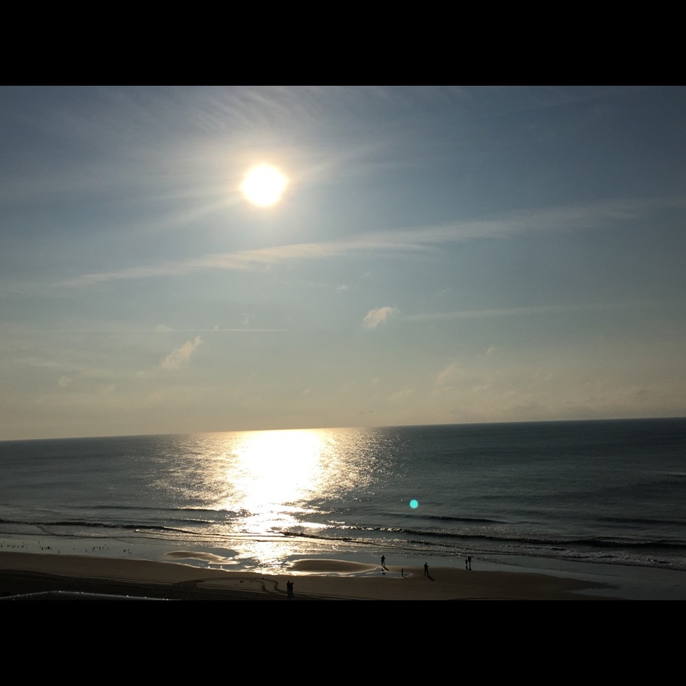 Meet your Posher, Ella