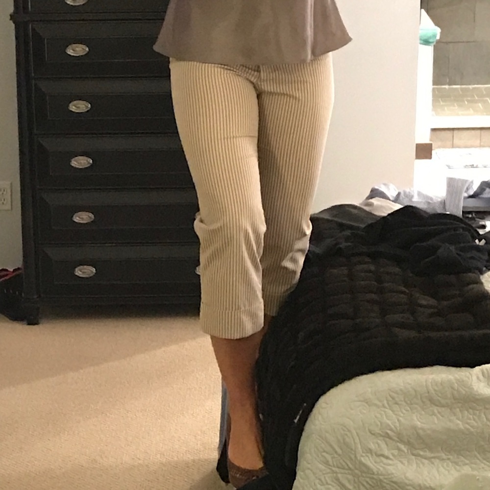Pantology Dressy Brown Crop Slacks