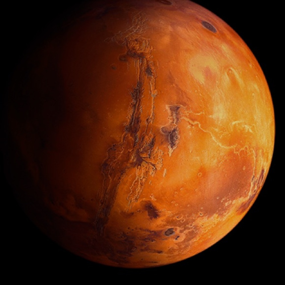 Meet your Posher, Vicente