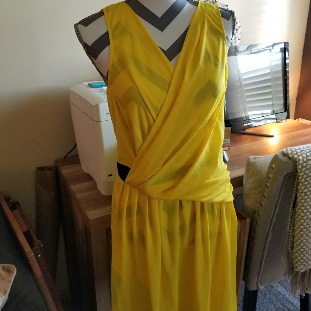 Rachel Roy dress