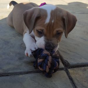 Meet your Posher, Dana