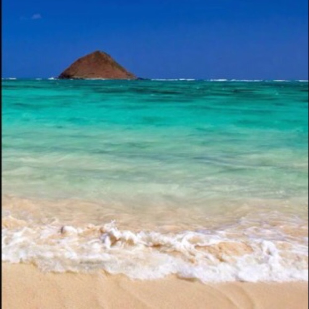 Meet your Posher, Donna