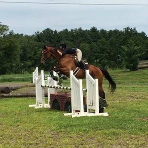 Meet your Posher, Chase