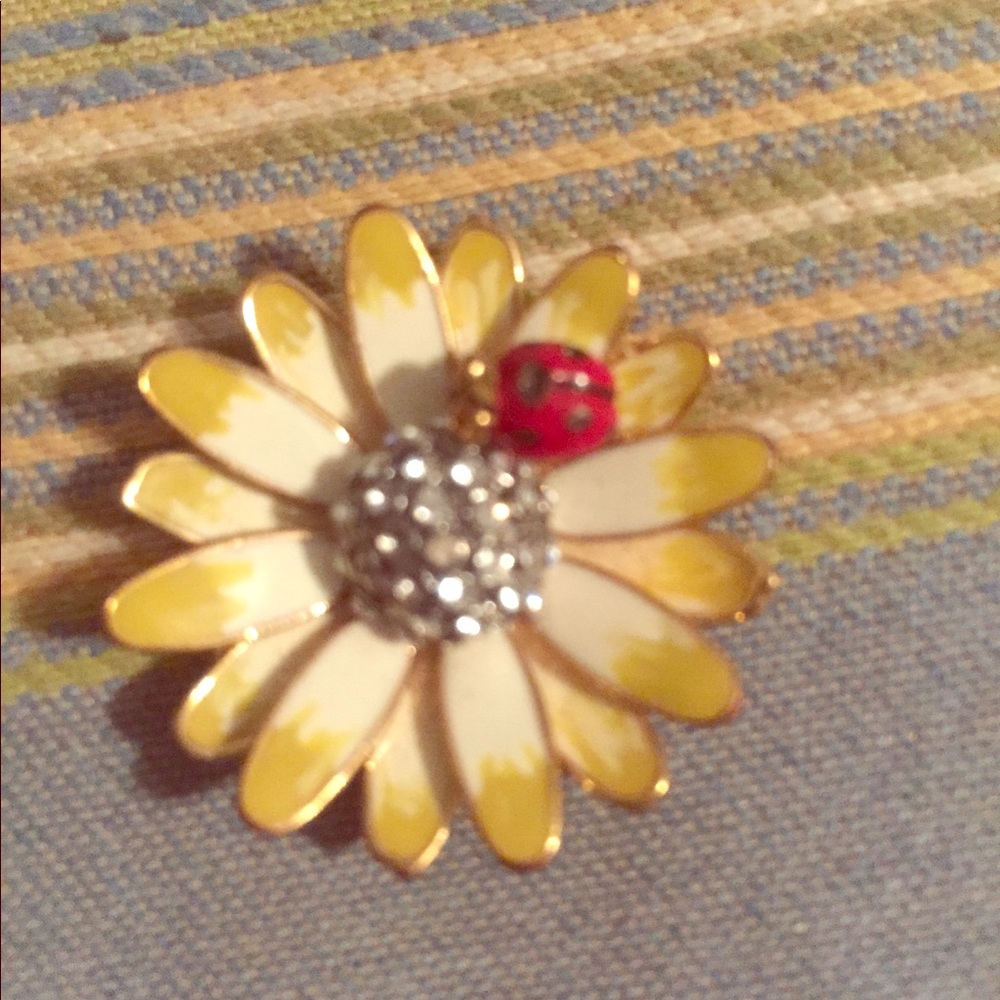 BOGO EVYTHNG Juicy couture daisy and ladybug charm